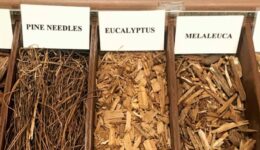 Mulch-samples