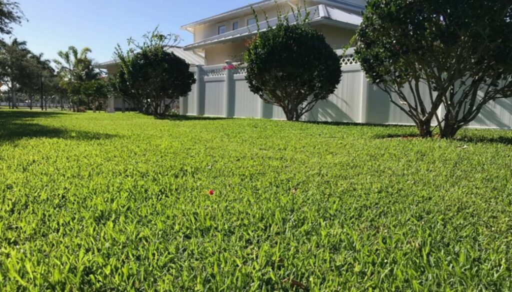 floratam-st-augustine-home-lawn-in-florida