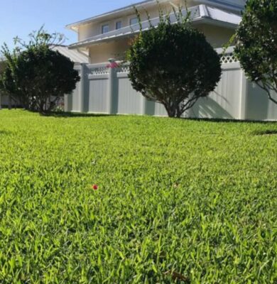 floratam-st-augustine-home-lawn-in-florida