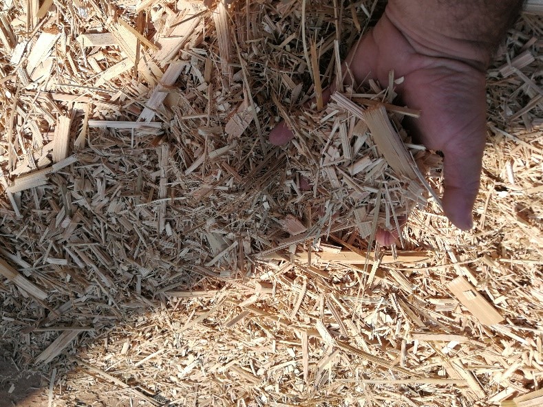 palm-mulch palm-mulch