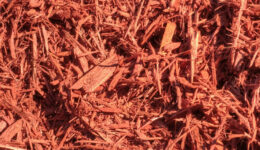 red-mulch