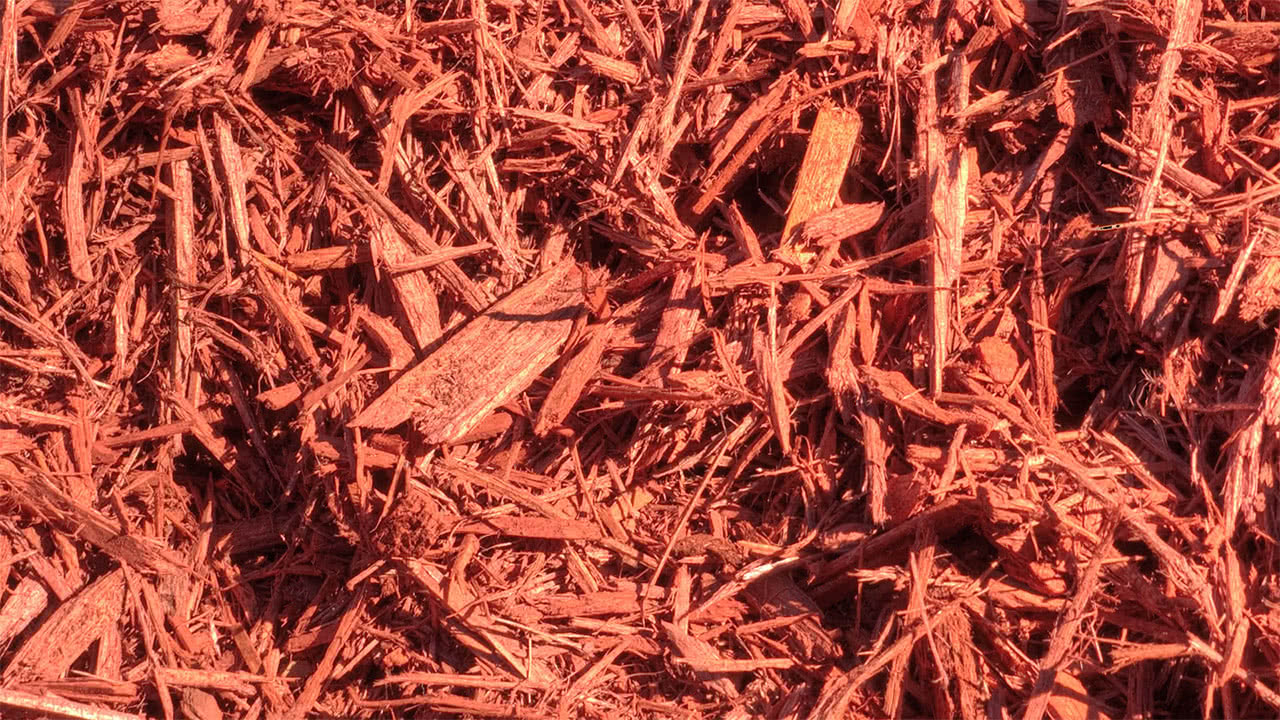 red-mulch