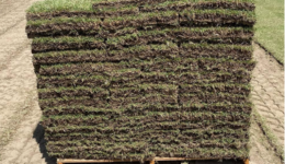 sod-pallet