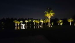 landscape-lighting 2