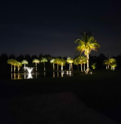 landscape-lighting 2