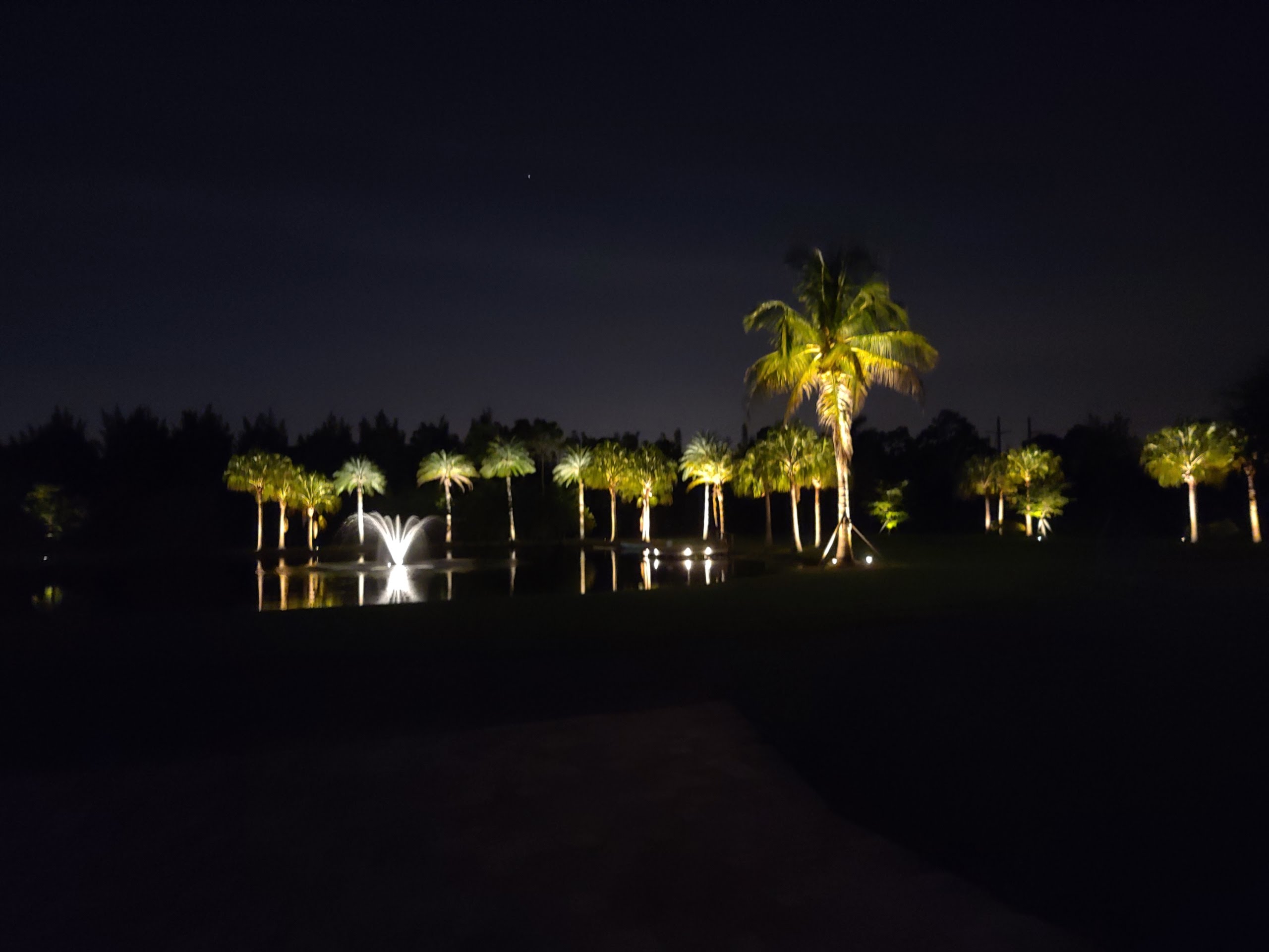 landscape-lighting 2